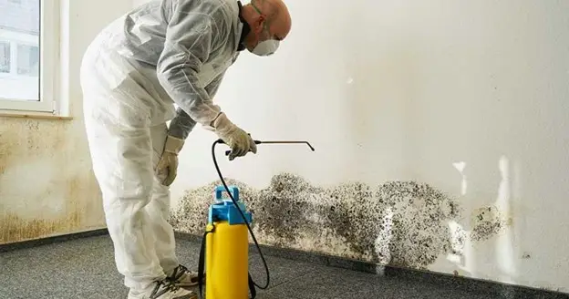 damp proofing