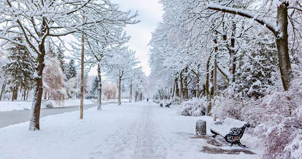 what does commercial snow removal cost