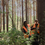 how much do tree service workers make