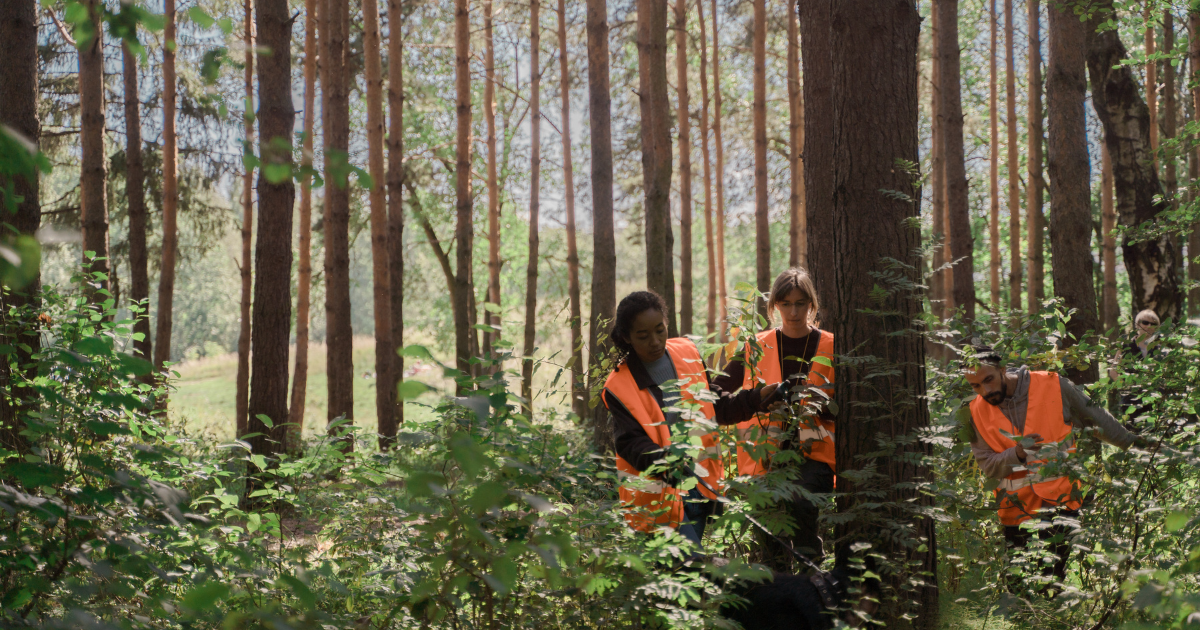 how much do tree service workers make