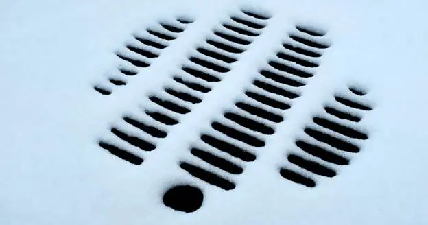 what drain cleaner is the best