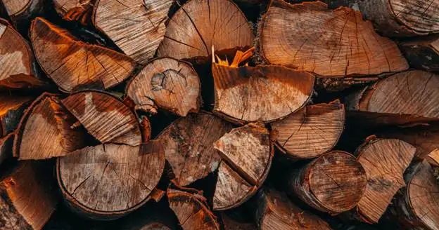 how to apply for tree removal